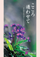 こころ通わせて